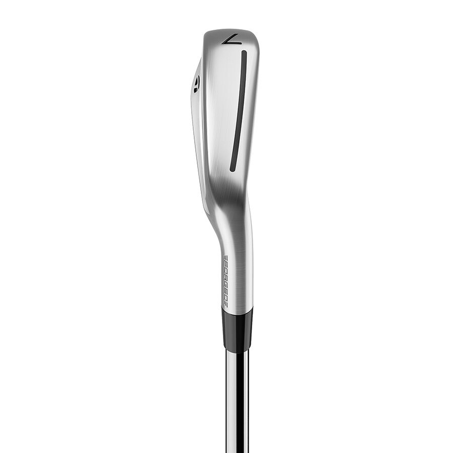 Série de Fers TaylorMade P790 - Droitier - True Temper Dynamic Gold 120 X-Stiff