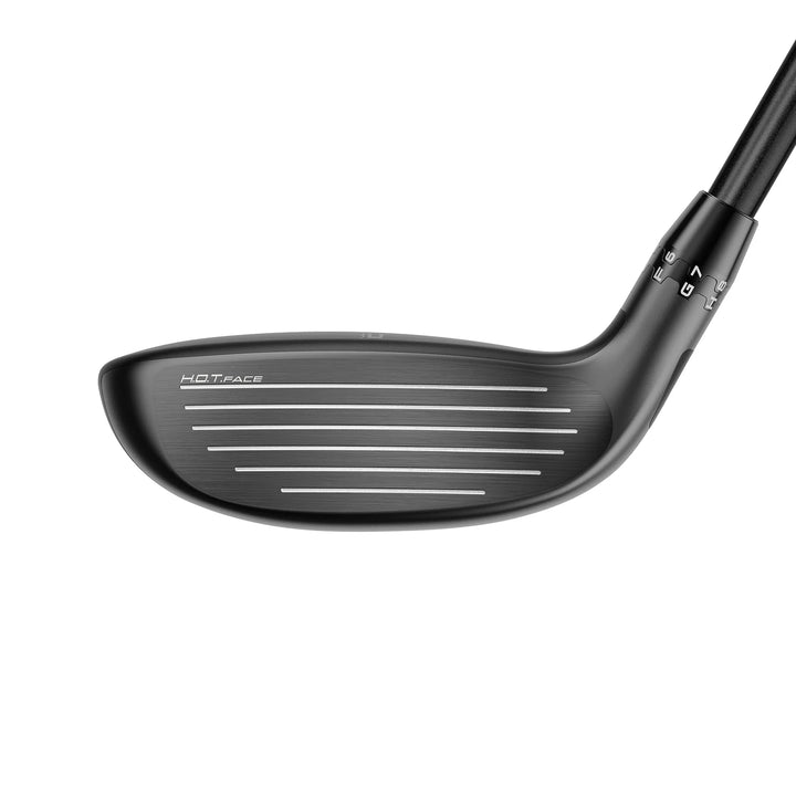 Hybride Cobra OPTM - vue 4