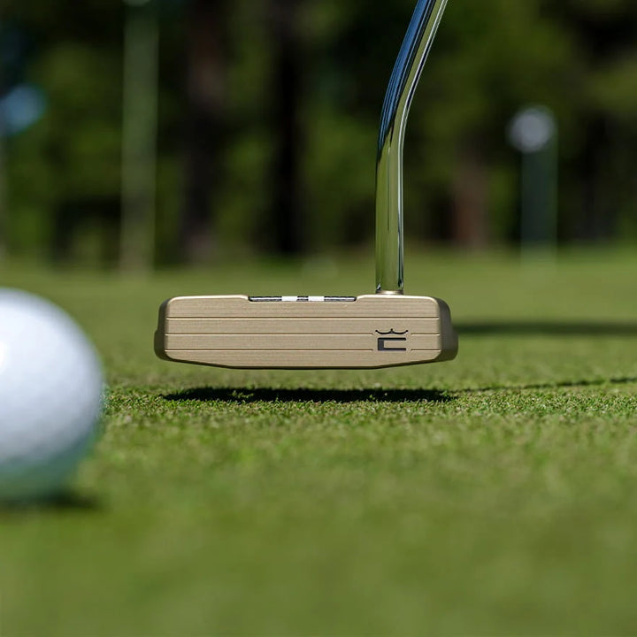 Putter Cobra 3DP Tour Agera CounterBalance - vue 8