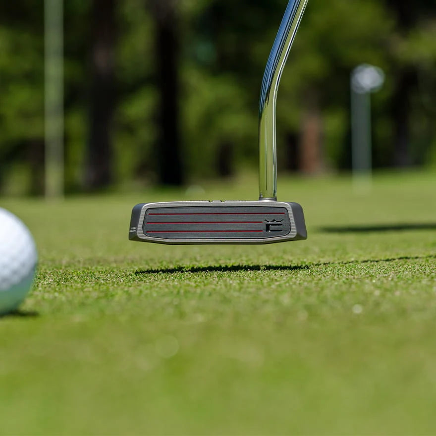 Putter Cobra MIM Stingray - vue 7