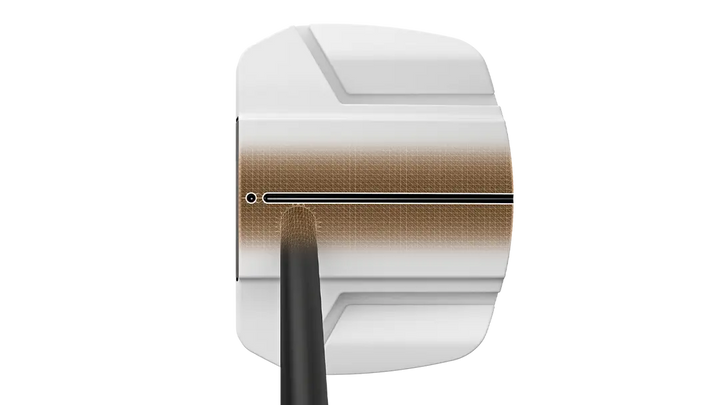 Putter PING Scottsdale TEC Ally Blue Onset - vue 5