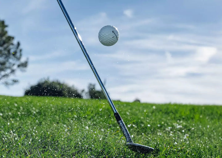 Balles TaylorMade TP5 2026 (Douzaine)