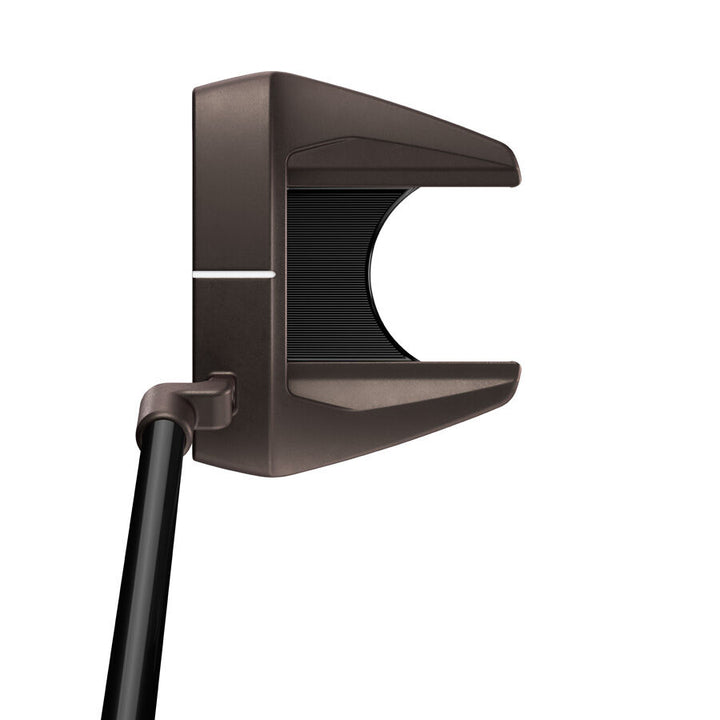 Putter TaylorMade Spider Tour F L-Neck